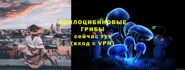 прущая мука Касимов