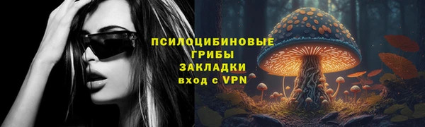 PSILOCYBIN Карпинск