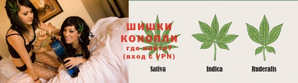 PSILOCYBIN Карпинск