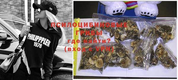 PSILOCYBIN Карпинск