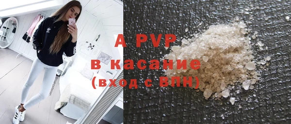 PSILOCYBIN Карпинск