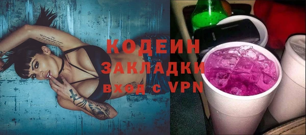 соль ск Каменка