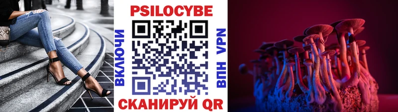 Псилоцибиновые грибы Magic Shrooms  Купить  Лениногорск 