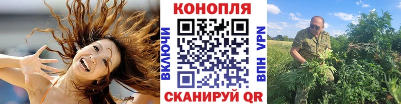 Купить закладки  Лениногорск  Конопля Amnesia 